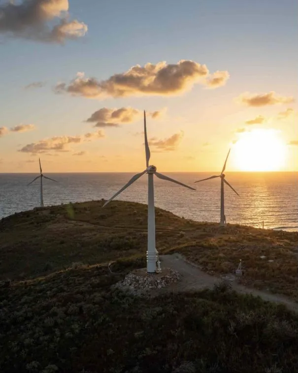 the turbines at sunset