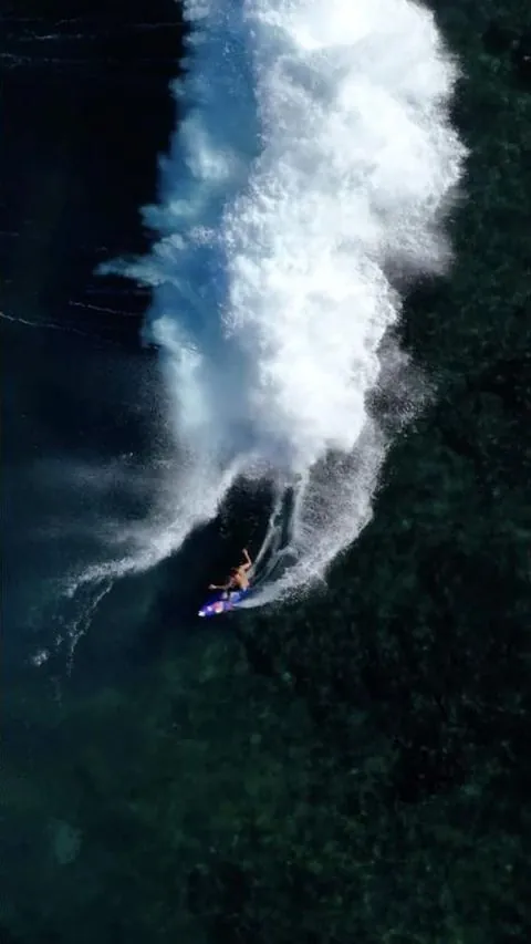 Top down at Jaws