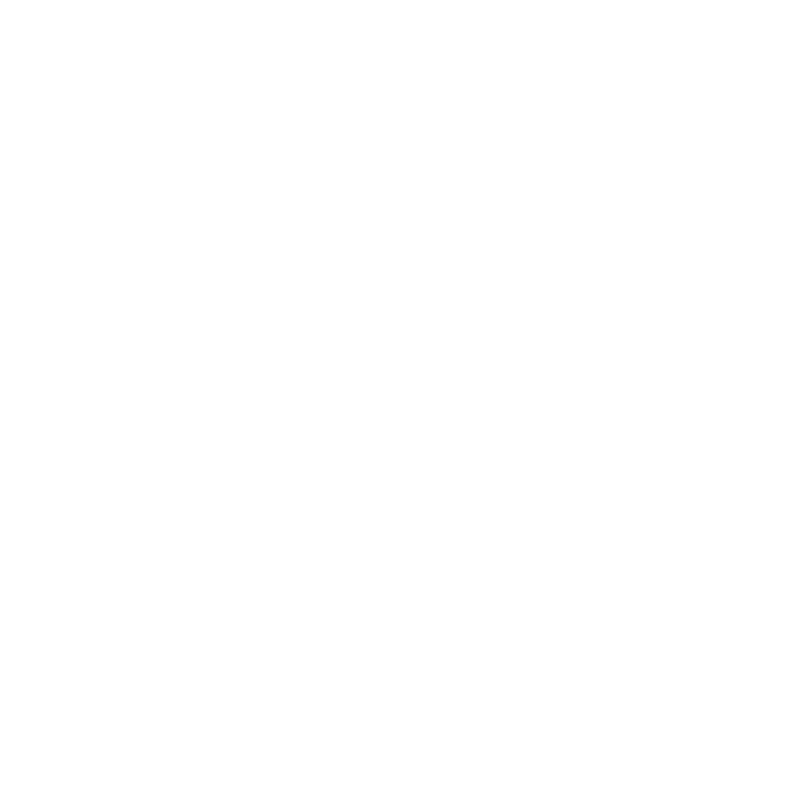 GoPro